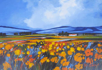 Namakwaland lente by Elise Wessels (1000 x 700)!!