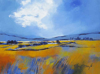 Original Landscape by Elise Wessels (600 x 450)!!
