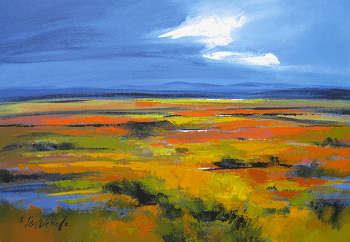 Original Karoo landscape by Elise Wessels (1000 x 700)!!