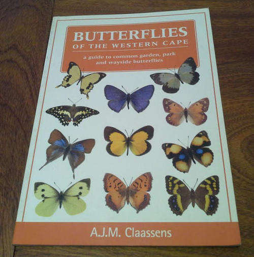Butterflies of the Western Cape - A Guide to Common Garden, Park and Wayside Butterflies