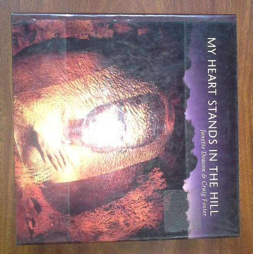 My Heart Stands in the Hill  by Deacon, Janette & Foster, Craig