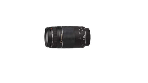 Canon 75-300mm Ultra sonic lens