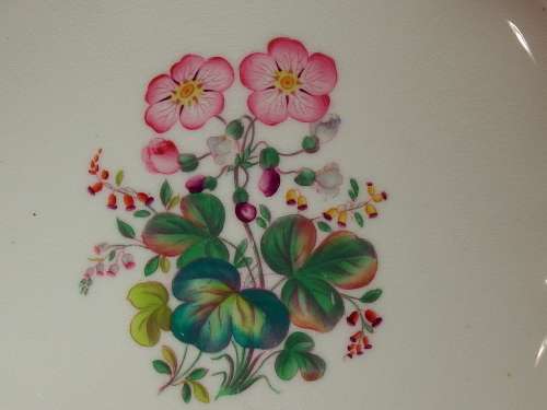 19th Century transfer and hand embellished porcelain plate. Ref. P-77