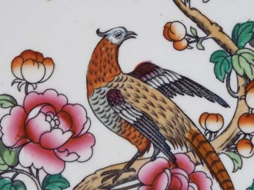 Semi-Porcelain 1908  1911 Pheasant dinner plate Ref: P-82