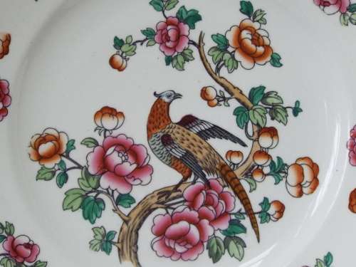 Semi-Porcelain 1908  1911 Pheasant dinner plate Ref: P-82