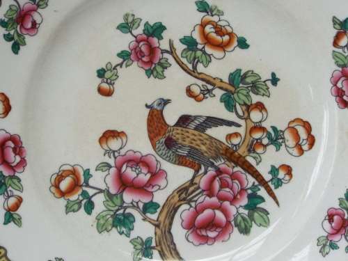 Semi-Porcelain 1908  1911 Pheasant dinner plate Ref: P-83
