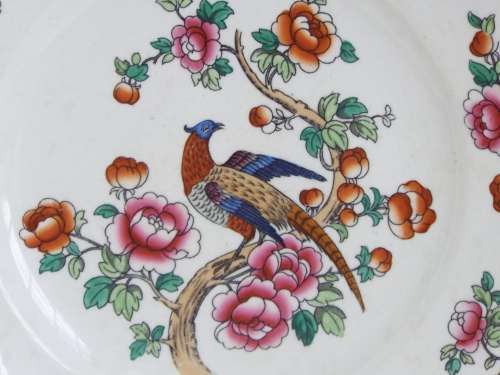 Semi-Porcelain 1908  1911 Pheasant dinner plate Ref: P-84