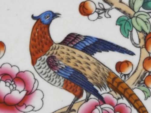 Semi-Porcelain 1908  1911 Pheasant dinner plate Ref: P-84