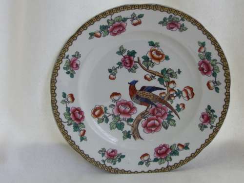 Semi-Porcelain 1908  1911 Pheasant dinner plate Ref: P-86