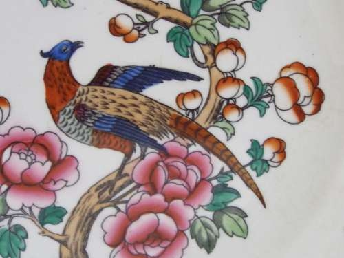 Semi-Porcelain 1908  1911 Pheasant dinner plate Ref: P-86