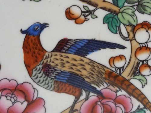 Semi-Porcelain 1908  1911 Pheasant dinner plate Ref: P-86