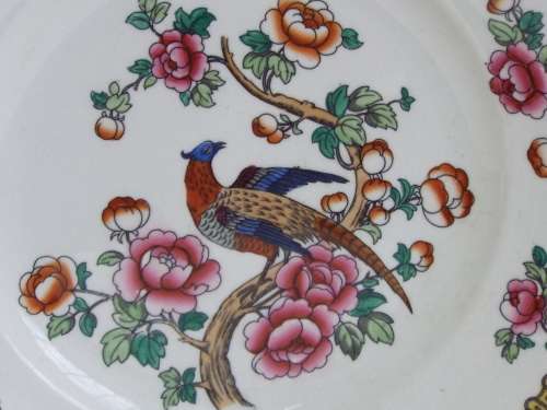 Semi-Porcelain 1908  1911 Pheasant dinner plate Ref: P-86