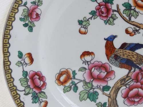 Semi-Porcelain 1908  1911 Pheasant dinner plate Ref: P-86