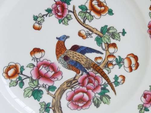 Semi-Porcelain 1908  1911 Pheasant dinner plate Ref: P-87