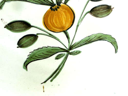 A pair of French provincial faience Botanical plates. 19thCentury. Ref. P/97A+97B