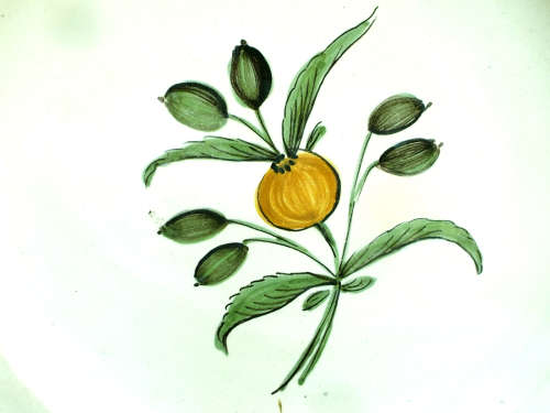 A pair of French provincial faience Botanical plates. 19thCentury. Ref. P/97A+97B