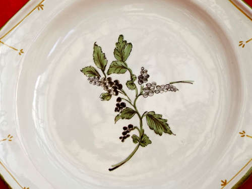 A pair of French provincial faience Botanical plates. 19thCentury. Ref. P/97A+97B