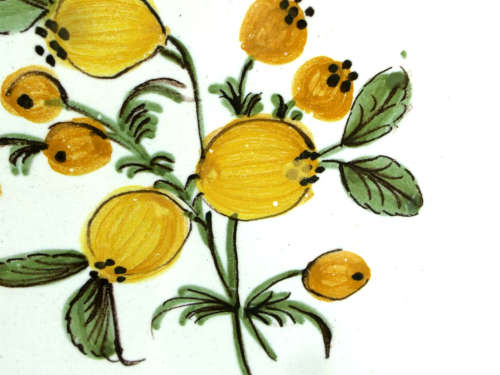 A pair of French provincial faience Botanical plates. 19thCentury. Ref. P/99A+99B
