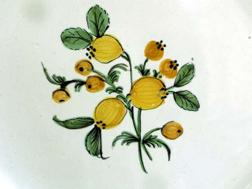 A pair of French provincial faience Botanical plates. 19thCentury. Ref. P/99A+99B