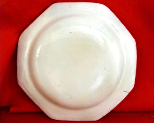 A pair of French provincial faience Botanical plates. 19thCentury. Ref. P/99A+99B