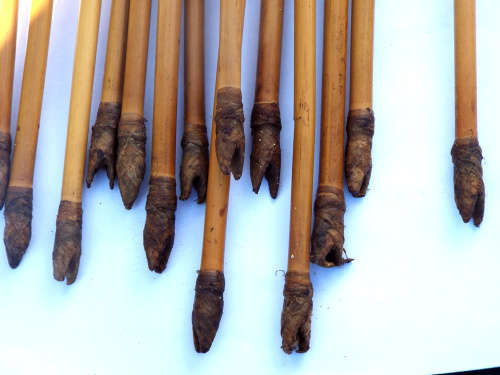 Vintage Pygmy leather/wood Quiver plus 15 arrows. Ref.  W/23
