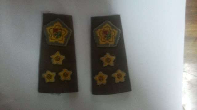 SADF Army Brigadier Rank Insignia Nutria set