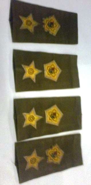 SADF SA ARMY Officer Nutria Rank Set Commandant/Lt-Col. 2 sets available