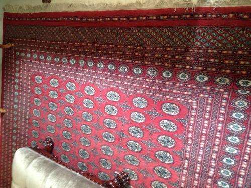 crazy low start::: persian Bokhara carpet