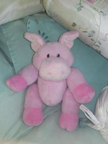 Pig