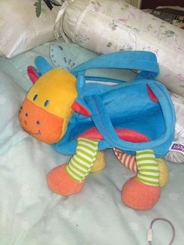 Colourfull cow