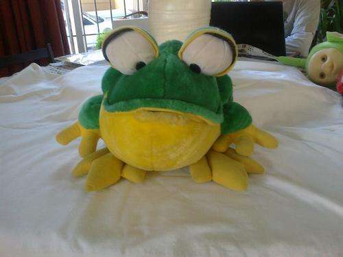 Huge green frog