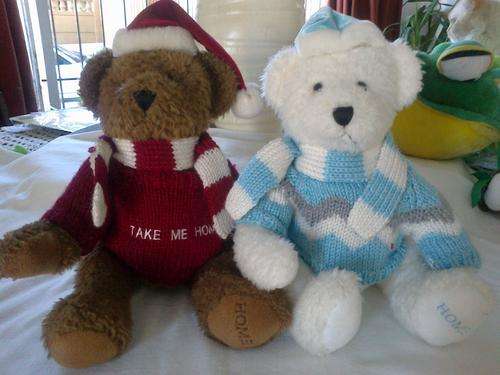 2 Bears
