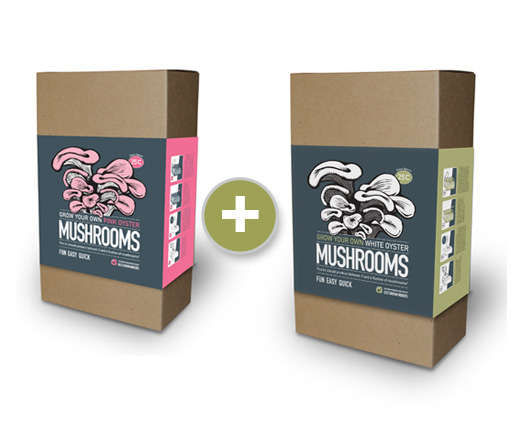 Pink and White Oyster Mushroom Kit Combo - The Mushroom Factory
