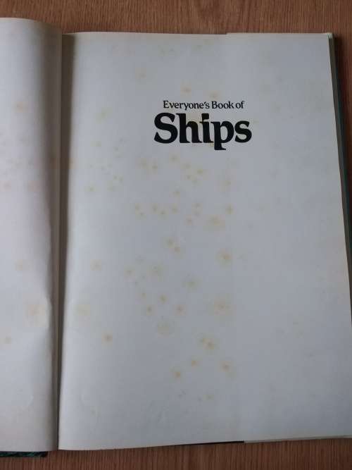 Michael Leitch - everyone's book of Ships