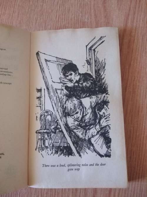 Franklin W Dixon - The Hardy Boys, The Crisscross Shadow, Softcover