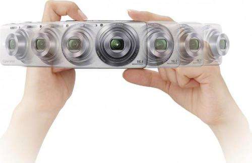 Sony Cyber-Shot DSC-W630 16.1MP Point-and-Shoot Digital Camera (Pink) with Camera Cas