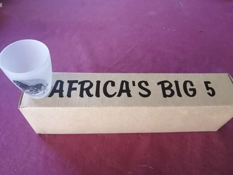 Africa`s Big 5 frosted glass Shooter Glasses/Tot Measures