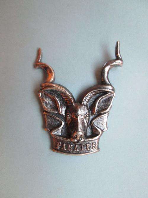 SWATF **Border War**  ARMY CAP BADGE (Obsolete) - ORIGINAL!!
