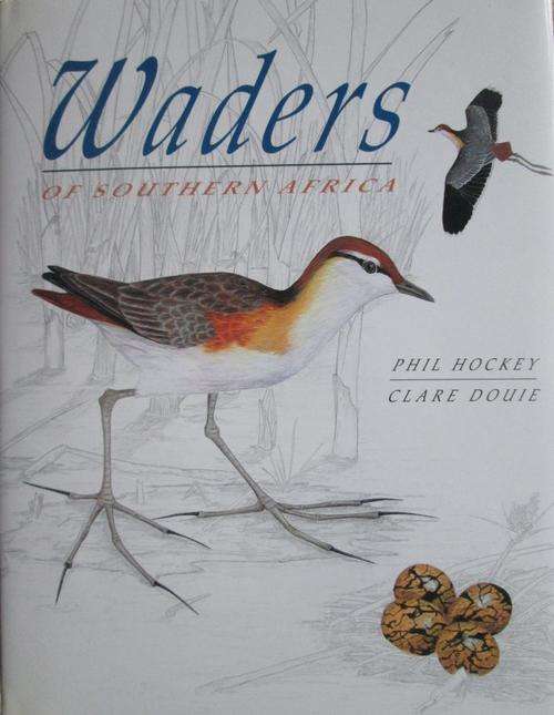 WADERS OF SOUTHERN AFRICA - Phil Hockey **Cased Edition**