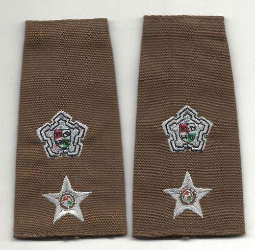 SA ARMY NUTRIA COMMADANT/LT. COLONEL EPAULETTE RANKS