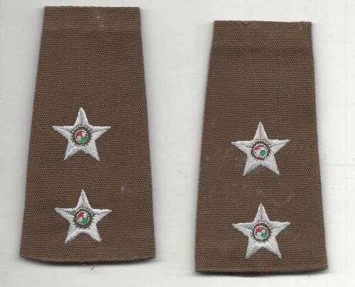 SADF Lieutenant Nutria Slip On Shoulder Ranks