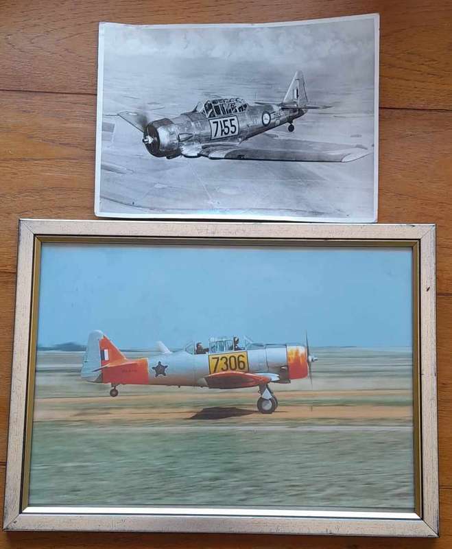 SAAF HARVARD PHOTOGRAPHS
