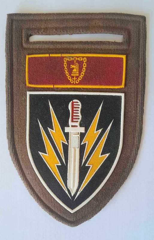 61 MECH INFANTRY BATTLE GROUP