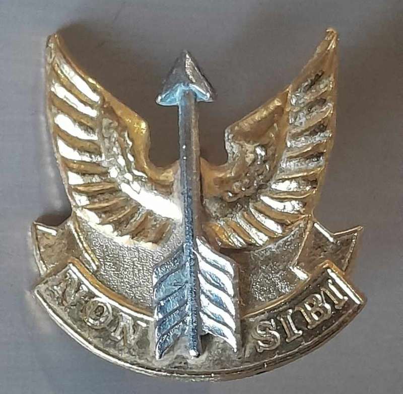 WEMMER PAN COMMANDO BADGE