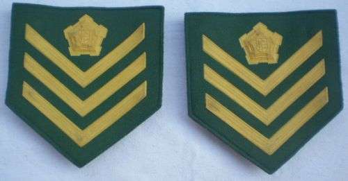 PRISONS RANK INSIGNIA
