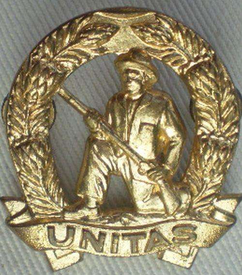 COMMANDO CAP BADGE