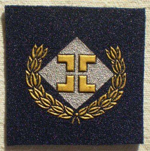 SAAF INTELLIGENCE BADGE