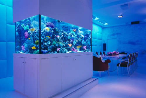 LED Strip Lights: 12Volts Waterproof SMD3528 BLUE Colour 5-metre Rolls. Collections Are Allowed.
