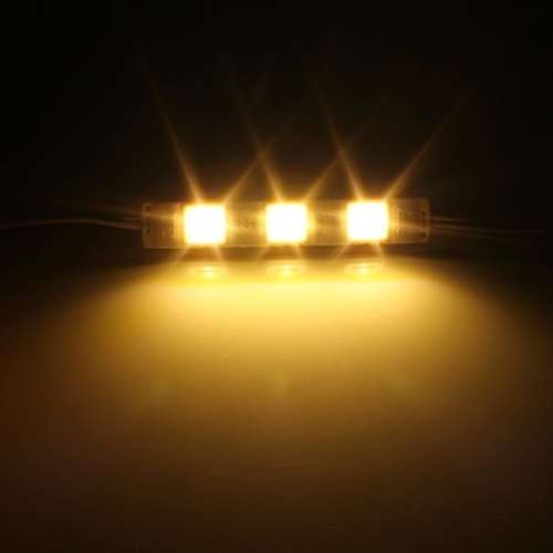 LED Light Modules: Waterproof Injection Moulded with Lens in Warm White. Collections allowed