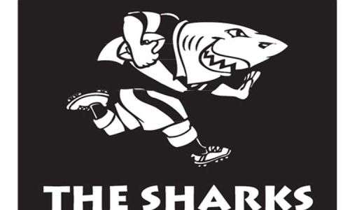 The Sharks Rugby Flat Barrel Liquor Dispensers with 4 Sets of Optics. Brand New. Collections Allowed